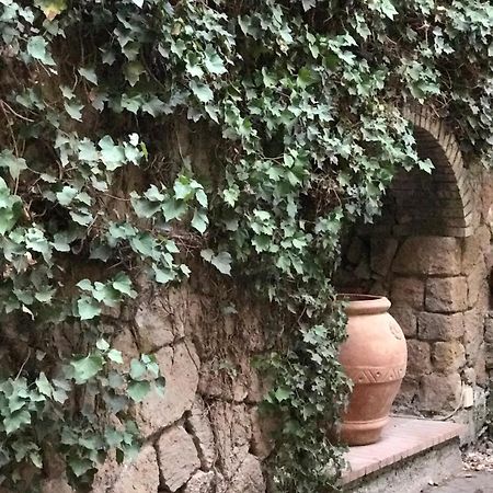 弗拉斯卡蒂公主住宿加早餐旅馆 外观 照片