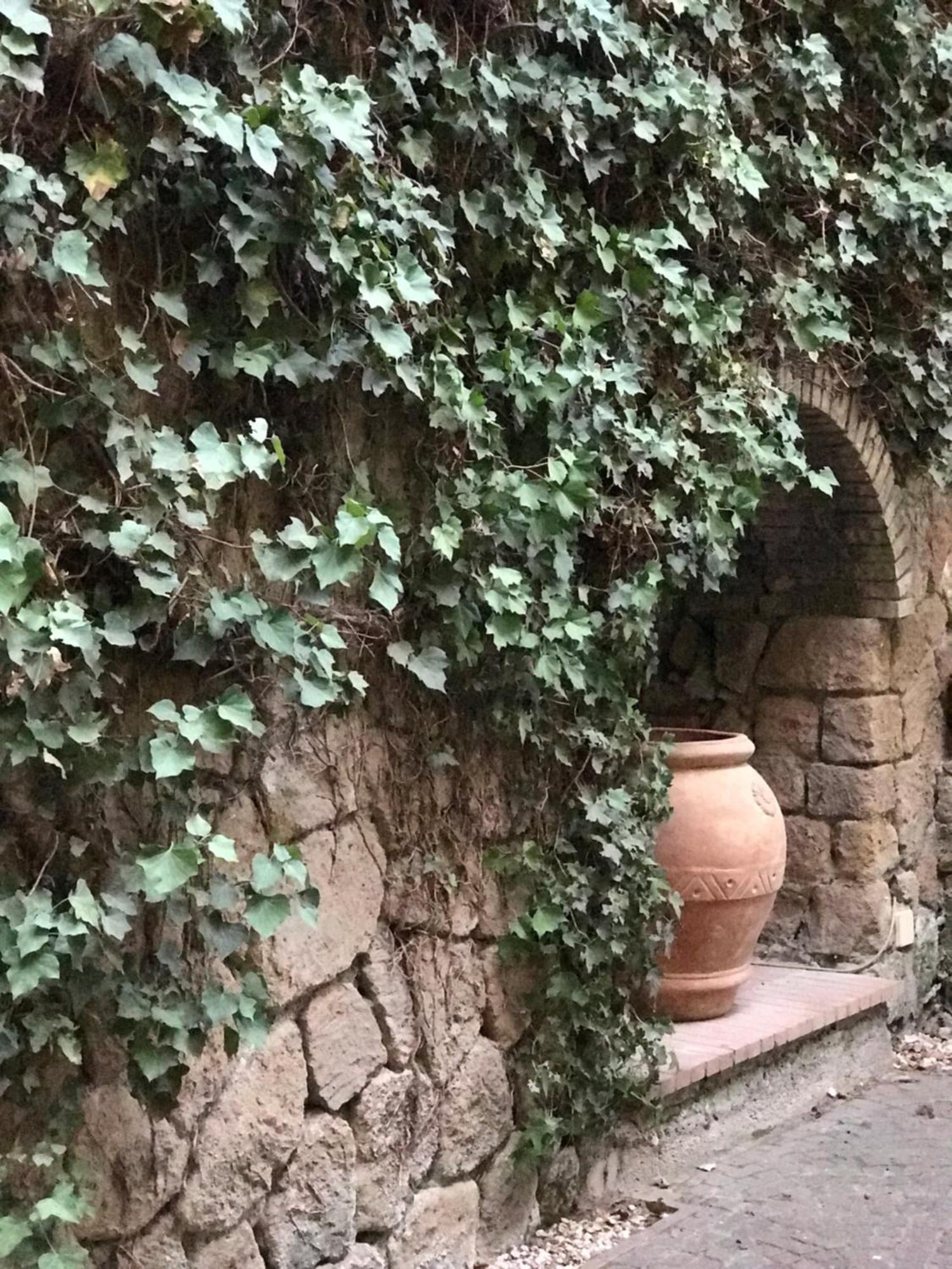 弗拉斯卡蒂公主住宿加早餐旅馆 外观 照片